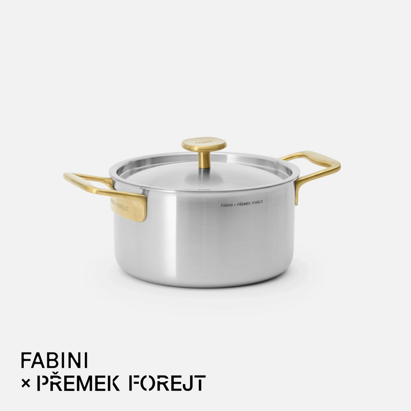 Hrnec FABINI & Forejt, ø 20 cm (3 l) - Nerezový beznýtový hrnec z vícevrstvé nerezové oceli s poklicí