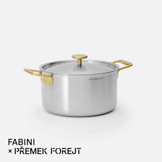Kastrol FABINI & Forejt, ø 24 cm (5,5 l) - Nerezový beznýtový kastrol z vícevrstvé nerezové oceli s poklicí