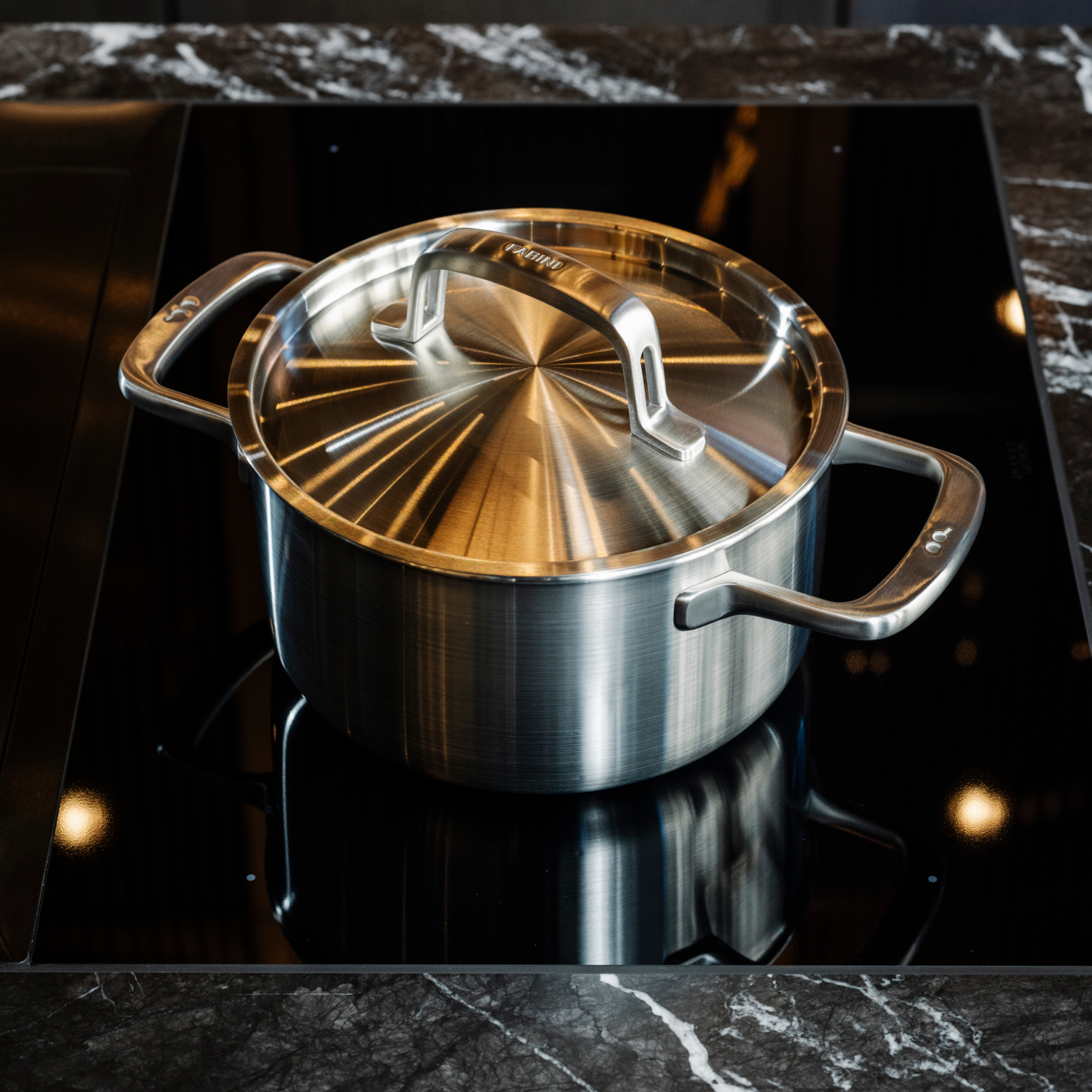 Hrnec FABINI & Pohlreich, ø 20 cm (3 l) - Nerezový beznýtový hrnec z pětivrstvé nerezové oceli s poklicí