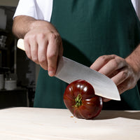 Santoku nůž Trino Economy, 17 cm - Nůž z německé oceli, černý