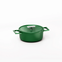 Smaltovaný litinový kastrol Mattia 3.0 s poklicí Ø 20 cm (2 l), zelený